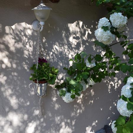 فيلا Rina'S House كالامباكا المظهر الخارجي الصورة